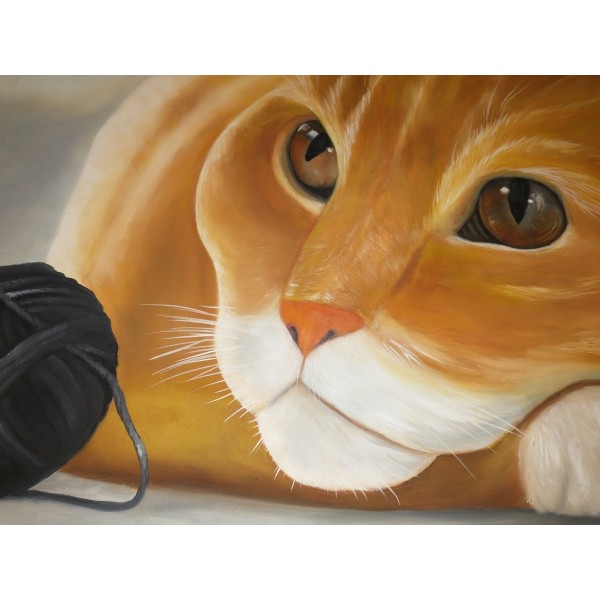 Leinwand * Katze Kater * Unikat handmade * 60 x 80cm